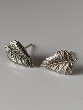 Load image into Gallery viewer, Silver Steed Detailed Leaf Stud Earrings