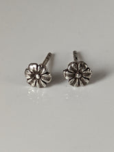 Load image into Gallery viewer, Silver Steed Flower Stud Earrings