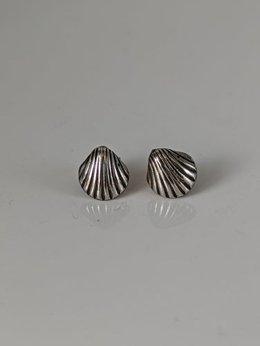 Silver Steed Shell Stud Earrings