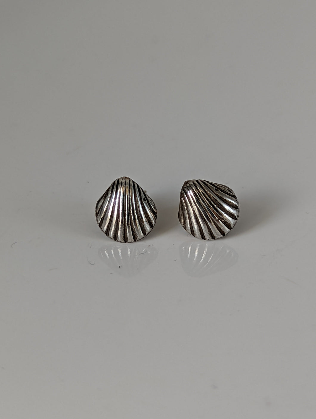 Silver Steed Shell Stud Earrings