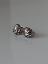 Load image into Gallery viewer, Silver Steed Shell Stud Earrings