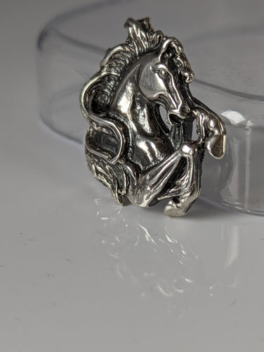 Silver Steed Wild Horse Silver Charm