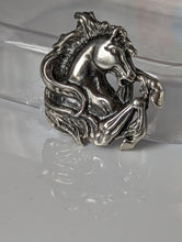 Load image into Gallery viewer, Silver Steed Wild Horse Silver Charm