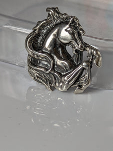 Silver Steed Wild Horse Silver Charm