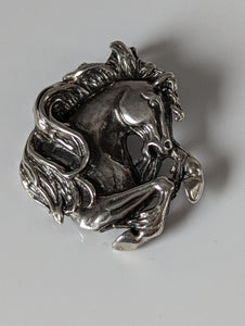 Silver Steed Wild Horse Silver Charm