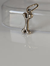 Load image into Gallery viewer, Silver Steed Bone Silver Pendant